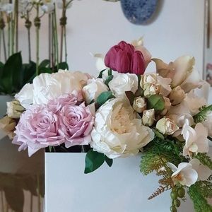 Meet your Posher, Daisy